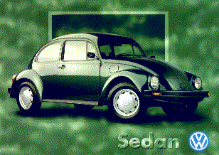 Mexican Beetle Brochure front.gif (28203 bytes)